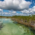 Crean mayas experiencias turísticas en Quintana Roo