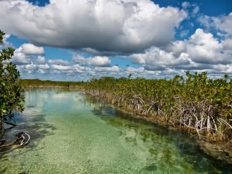 Crean mayas experiencias turísticas en Quintana Roo