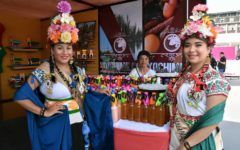 Representantes de La Flor Más Bella del Ejido promueven Xochimilco