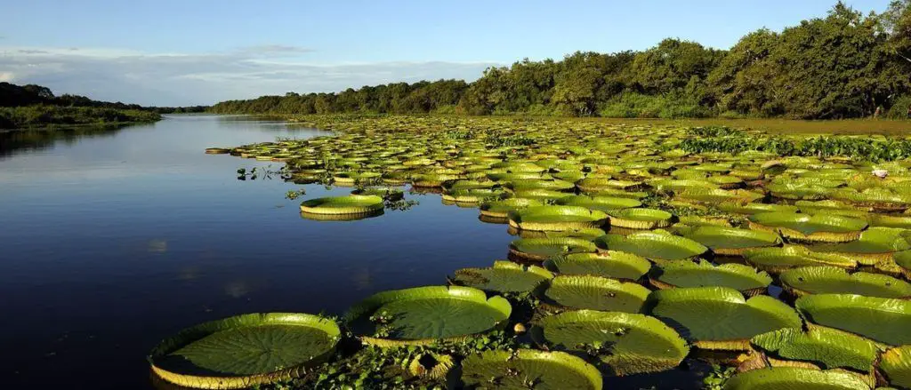 Formosa es parte del Corredor Turístico El Litoral en Argentina