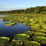 Formosa es parte del Corredor Turístico El Litoral en Argentina
