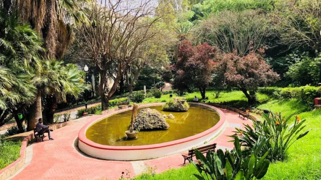 El primer jardín de la paz de Argelia estará en su capital, Argel, llevando esta iniciativa a África.