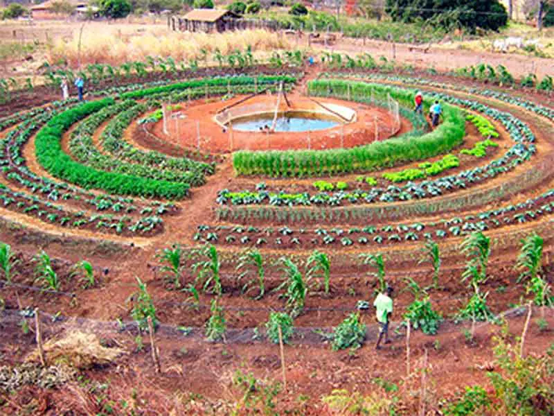 Permacultura y agro ecoturismo