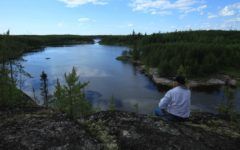 Canadá tiene uno de los nuevos Patrimonios de la Humanidad 2018 en los bosques de Manitoba