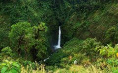 Sarapiquí es uno de los destinos sostenibles certificados en Costa Rica