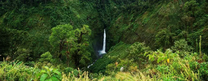 Sarapiquí es uno de los destinos sostenibles certificados en Costa Rica