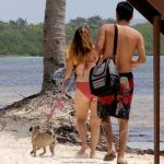 prohíben mascotas en Holbox