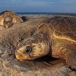 Oaxaca fue uno de los estados beneficiados de turismo de aventura en México