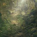 Un camino para practicar el senderismo se abre en un bosque
