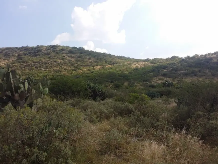 paisaje natural de Tequisquiapan Querétaro