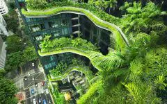 Edificio verde