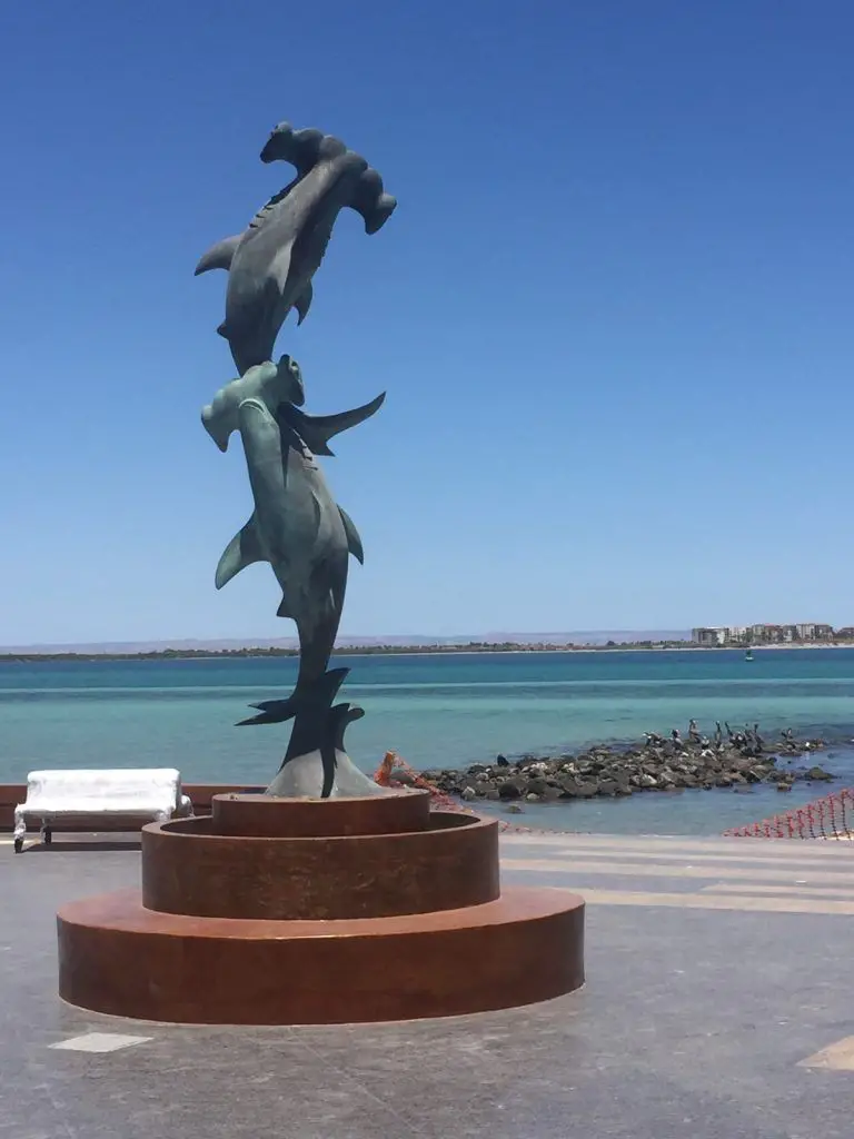 Tiburones martillo escultura de La Paz