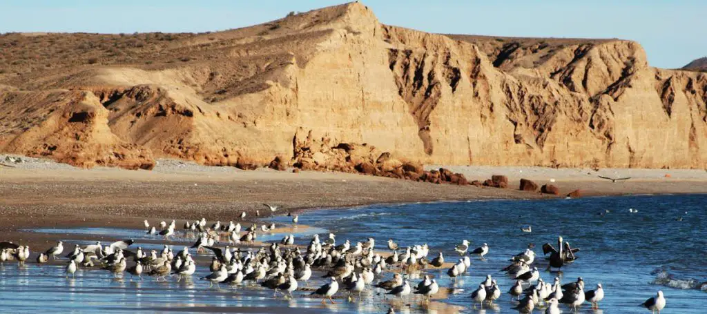 Caborca uno de los Tesoros de Sonora