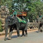paseos en elefante en Angkor Wat