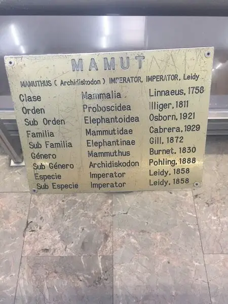 Información del mamut del metro Talismán