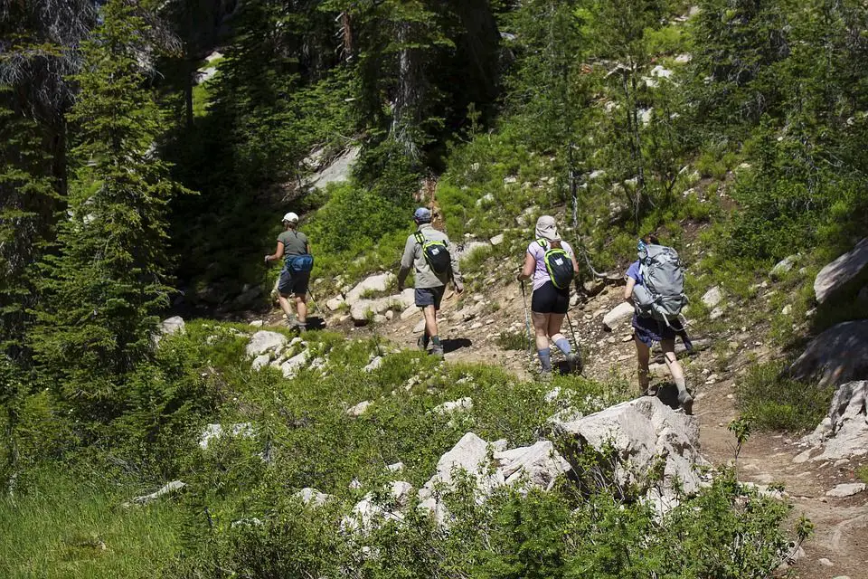 grupo de senderismo en la montaña