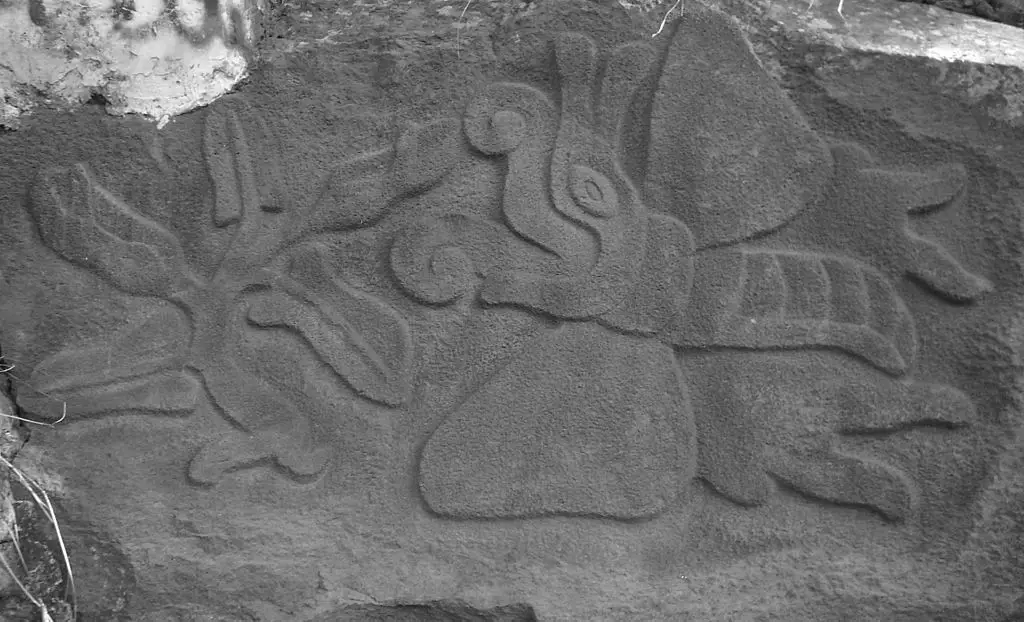 Petroglifos de Cuahilama