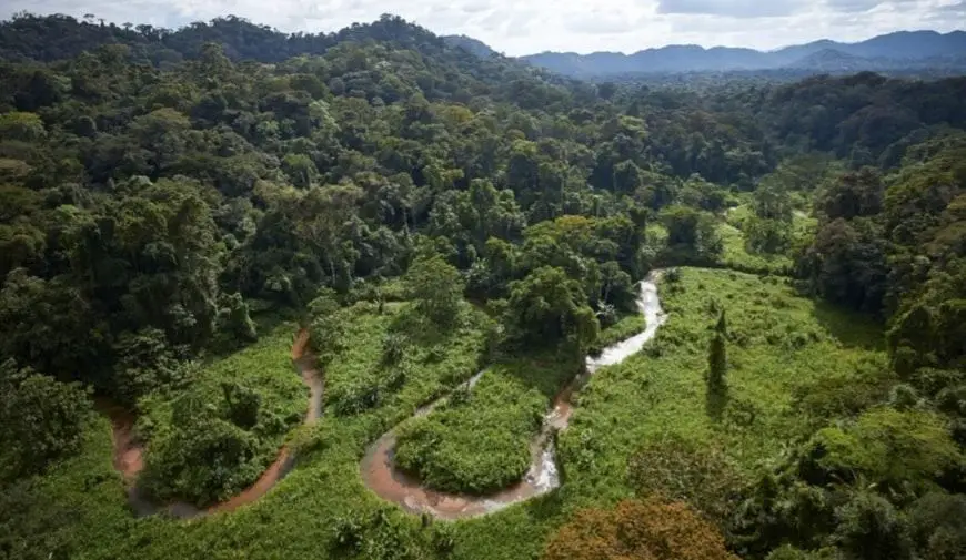 Reserva del Río Plátano, una de las Maravillas de Honduras