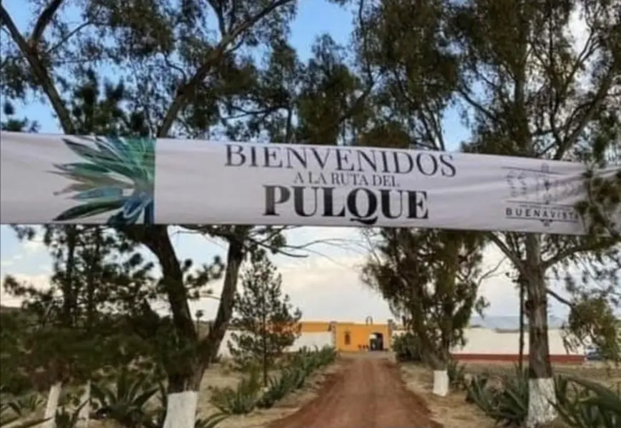 Presentación de la ruta del pulque