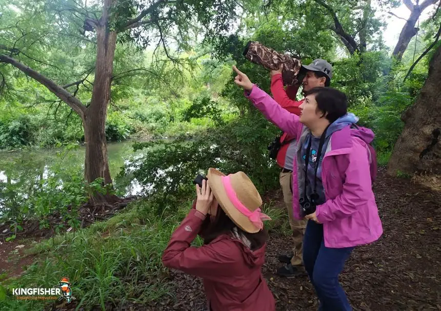 Grupo de turistas observando aves en México