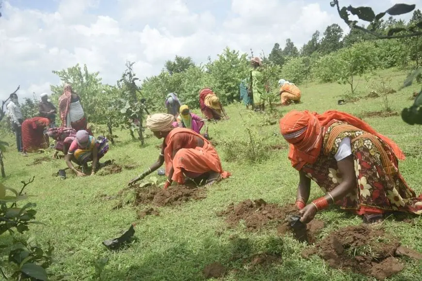 Mujeres reforestando en India