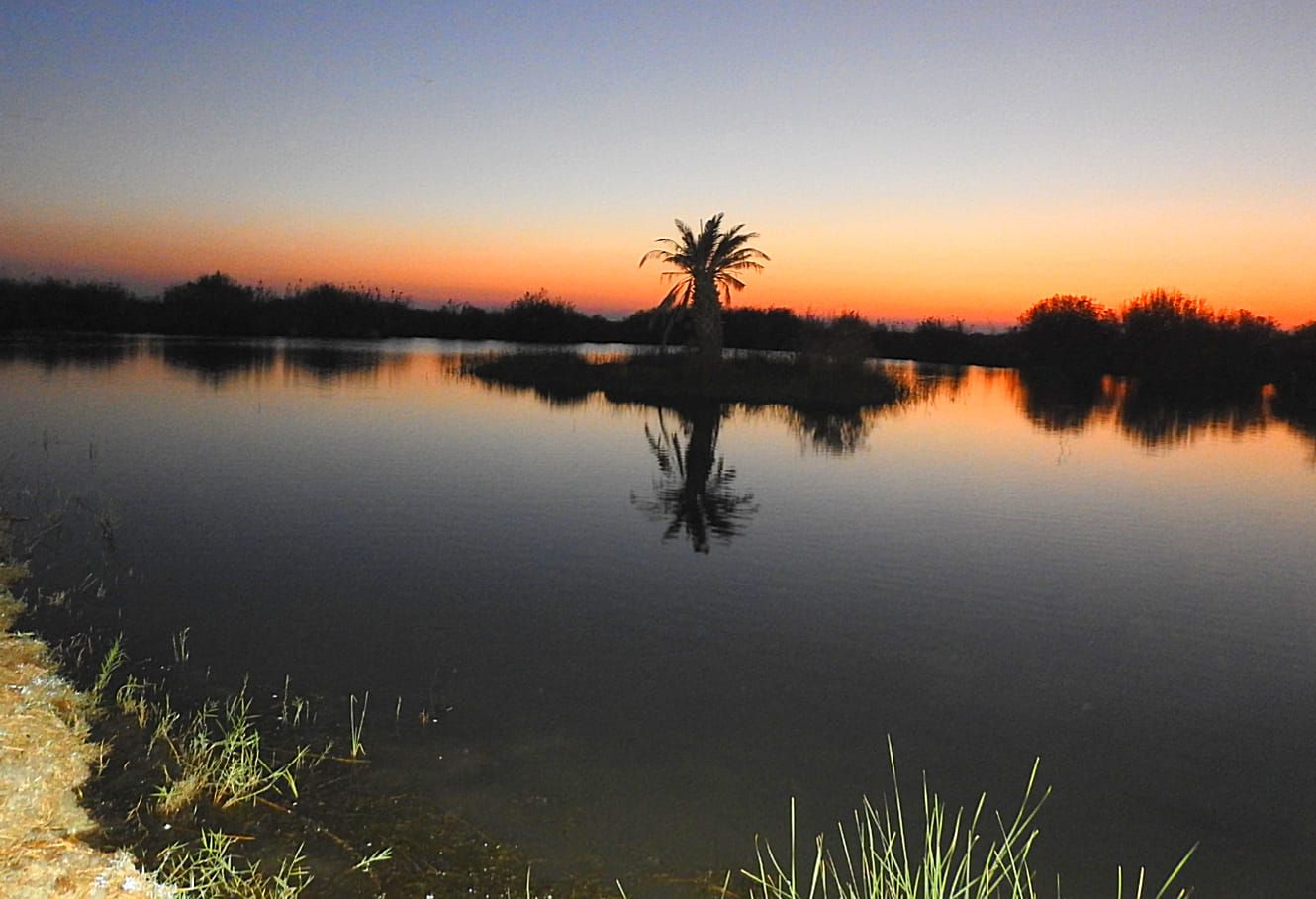 Atardecer en los humedales de Azraq