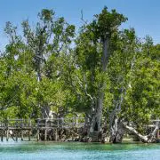 Isla de Suyac destino para el turismo verde en Filipinas