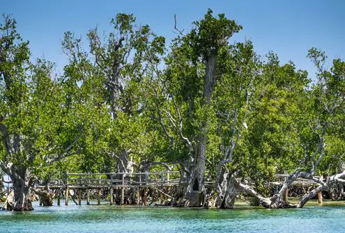 Isla de Suyac destino para el turismo verde en Filipinas