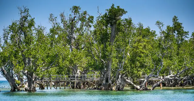 Isla de Suyac destino para el turismo verde en Filipinas