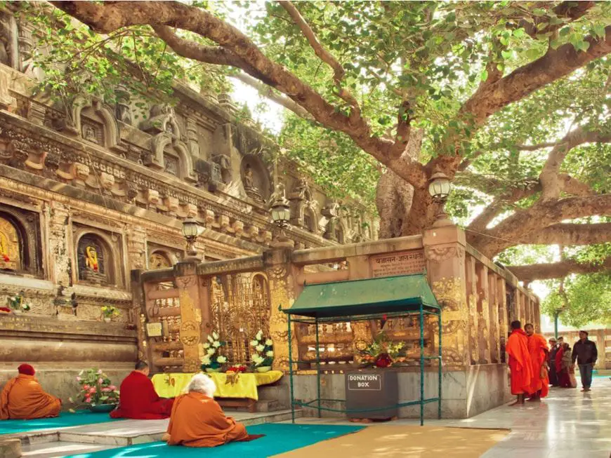 De acuerdo a la tradición Siddhartha Gautama se convirtió en Buda meditando bajo el árbol de Bodhi