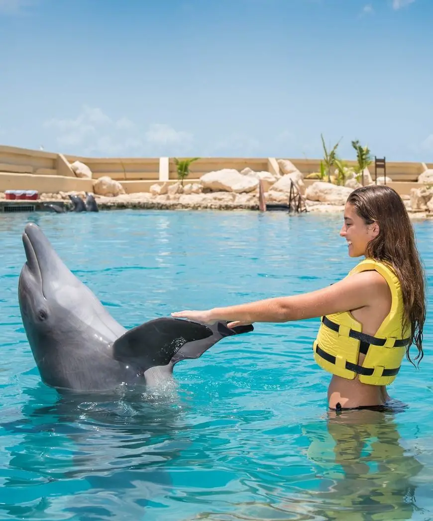 delfines en quintana roo