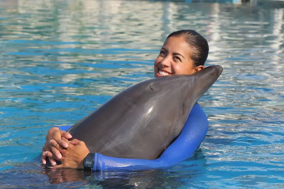 Delfín abrazado por una mujer en delfinario