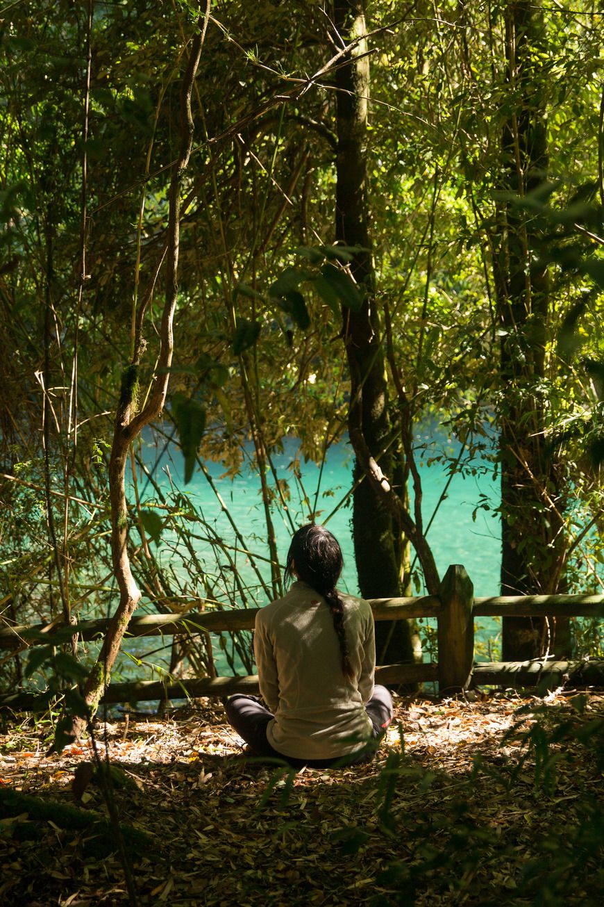 Disfrutando de la naturaleza