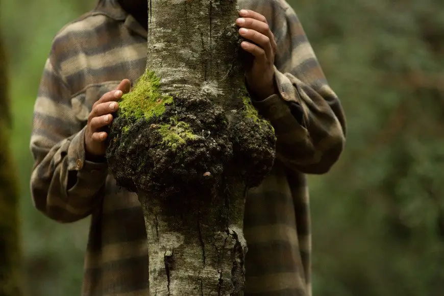 una persona sintiendo las sensaciones que deja un tronco de árbol durante un baño de bosque